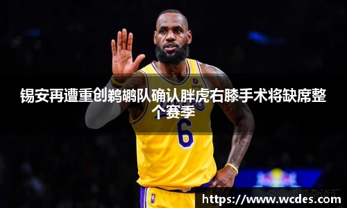 锡安再遭重创鹈鹕队确认胖虎右膝手术将缺席整个赛季